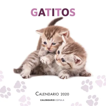 Calendario Gatitos 2020
