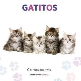 Gatitos 2024