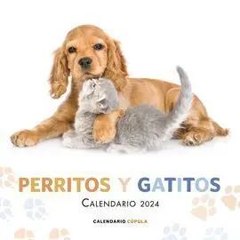 Perritos y Gatitos 2024