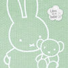 EL LIBRO DE MI BEBÉ (LAS AVENTURAS DE MIFFY)