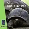 Sóc una Tortuga