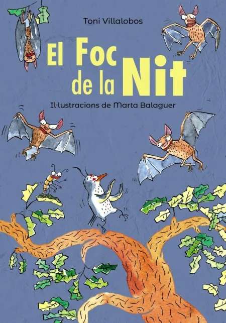 El Foc de la Nit