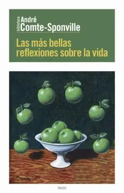 Las Más Bellas Reflexiones Sobre la Vida