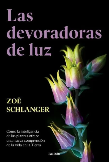 Las Devoradoras de Luz
