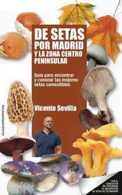 De Setas por Madrid y la Zona Centro Peninsular