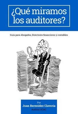 ¿Qué Miramos los Auditores?