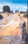 REPERTORIO DE CAMINOS DE LA HISPANIA ROMANA