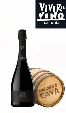 Vivir el Vino