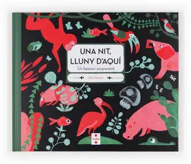 Una Nit, Lluny D'aquí!