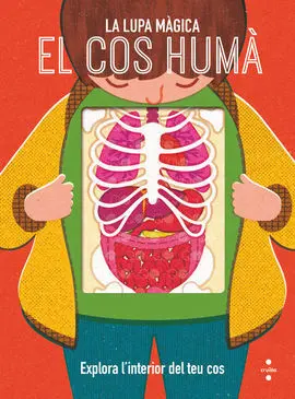 C-Llm. el Cos Huma