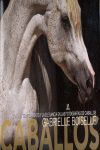 CABALLOS