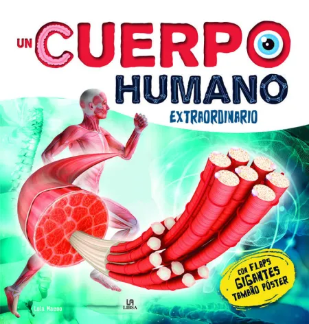 Cuerpo Humano Extraordinario (Flaps Giga