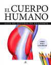 EL CUERPO HUMANO