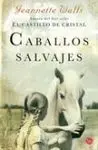 Caballos Salvajes