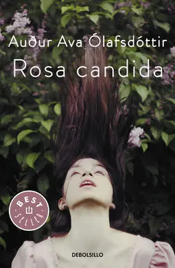 Rosa Candida