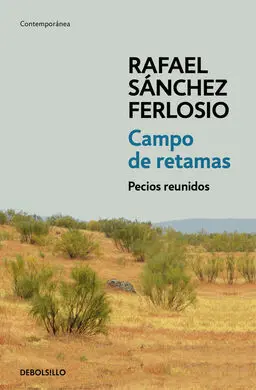 Campo de Retamas