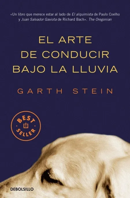 Arte de Conducir Bajo la Lluvia, el
