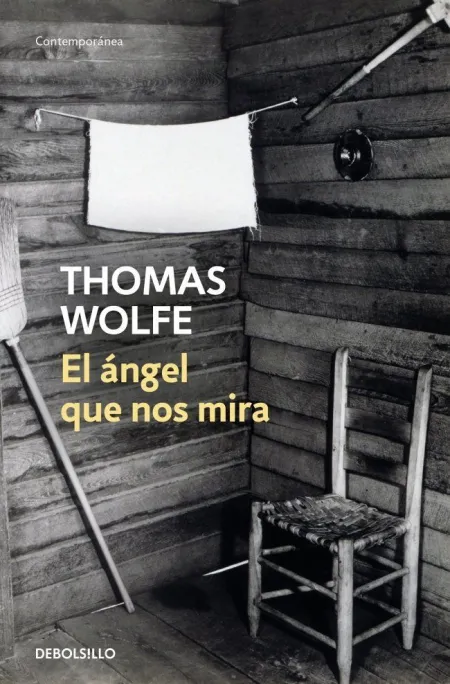 El Ángel que nos Mira