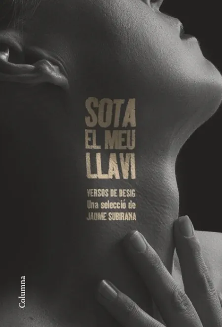 Sota el Meu Llavi