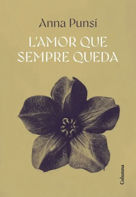 L'amor que Sempre Queda