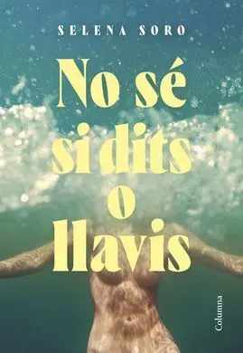 No se si Dits o Llavis