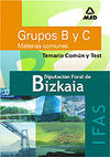 GRUPOS B Y C MATERIAS COMUNES IFAS