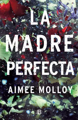 Madre Perfecta, la (B)