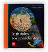 Animales Sorprendentes