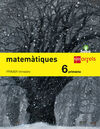 MATEMÃTIQUES - 6Âº ED. PRIM. (SABA)