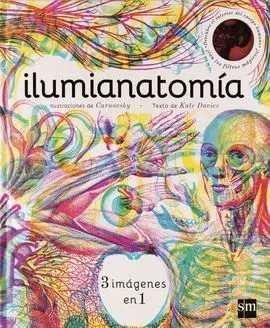 Ilumianatomia