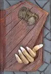 Mi Diario de Vampiros