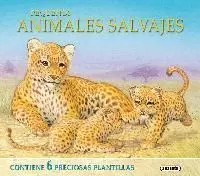 Pequeños Animales Salvajes
