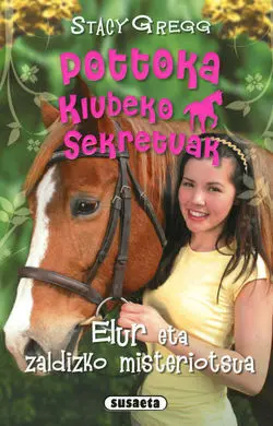 Elur Eta Zaldizko Misteriotsuas