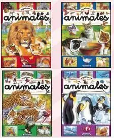 Pegatinas de Números (4 Títulos)