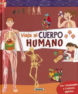 Cuerpo Humano