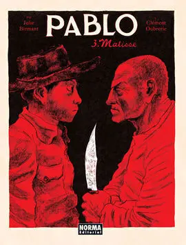 Pablo 3 - Matisse