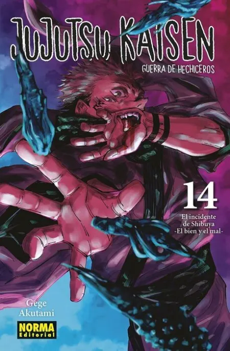 Jujutsu Kaisen 14 (Nuevo Pvp)