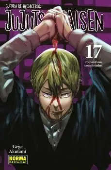 Jujutsu Kaisen 17 Ne