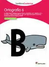 Ortografía 6