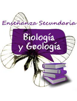 Cuerpo de Profesores de Enseñanza Secundaria. Lengua Castellana (Pack 3 Vols)