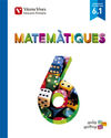 MATEMATIQUES 6.1 VALENCIA (AULA ACTIVA)