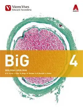 Big 4 (Biologia I Geologia) eso Aula 3D