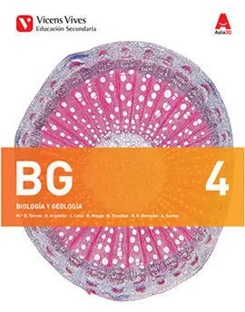 Bg 4+ Dossier