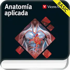 Anatomia Aplicada (Basic) Aula 3D