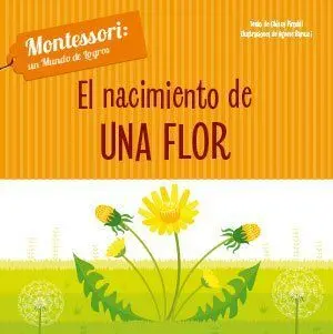 El Nacimiento de una Flor (Vvkids)