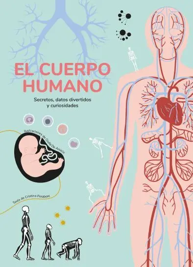 El Cuerpo Humano (Vvkids)