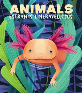 Animals Extranys I Meravellosos (Vvkids)