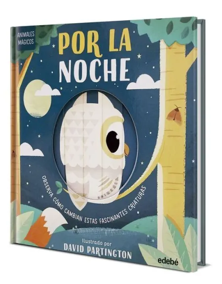 Animales Magicos en la Noche