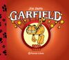 GARFIELD 2006-2008 Nº 15/20