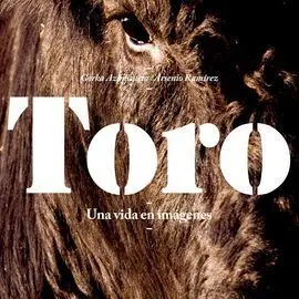 Toro